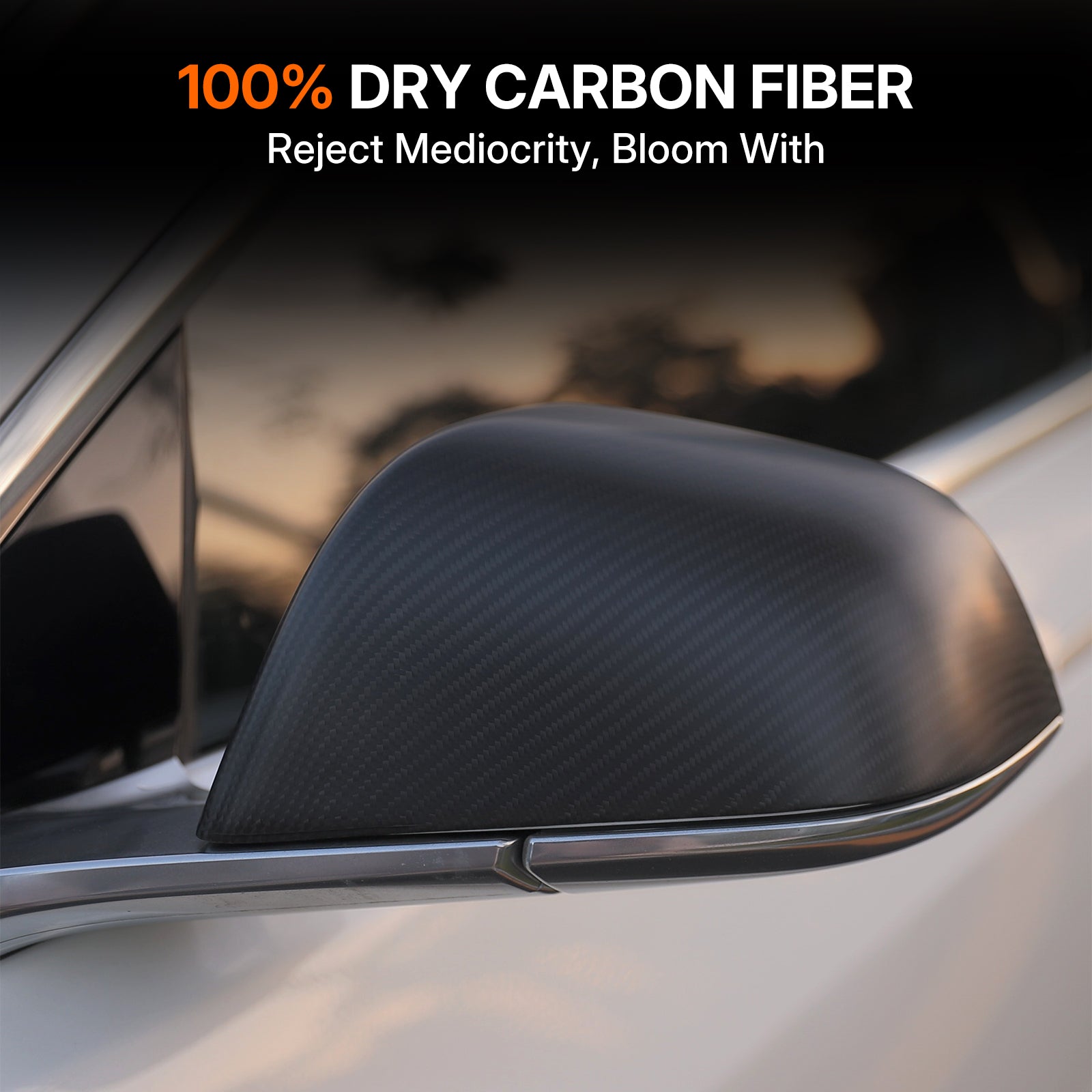 Real Dry Carbon Fiber Side Mirror Covers for Tesla Model 3 / 3 Highland - OEM Factory Fit